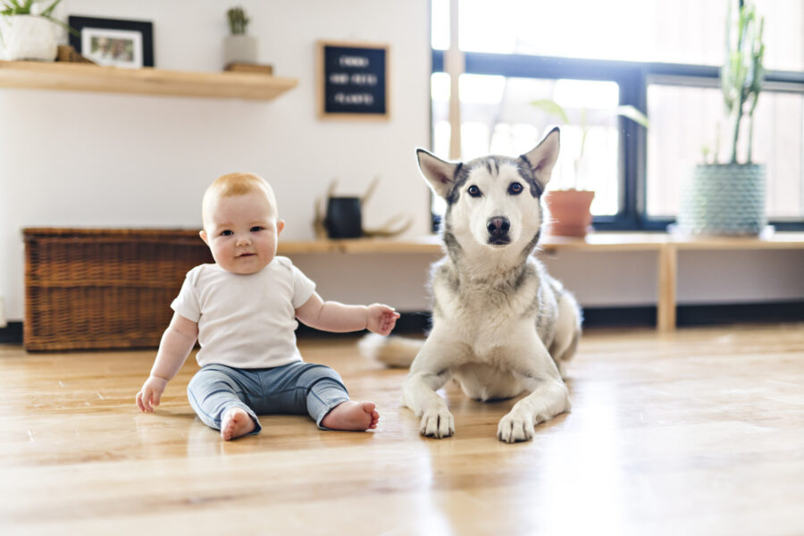 Baby and dog sitting on the floor