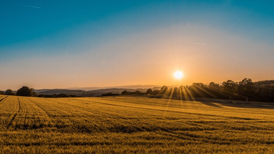 Sun rising over the farmland and woods