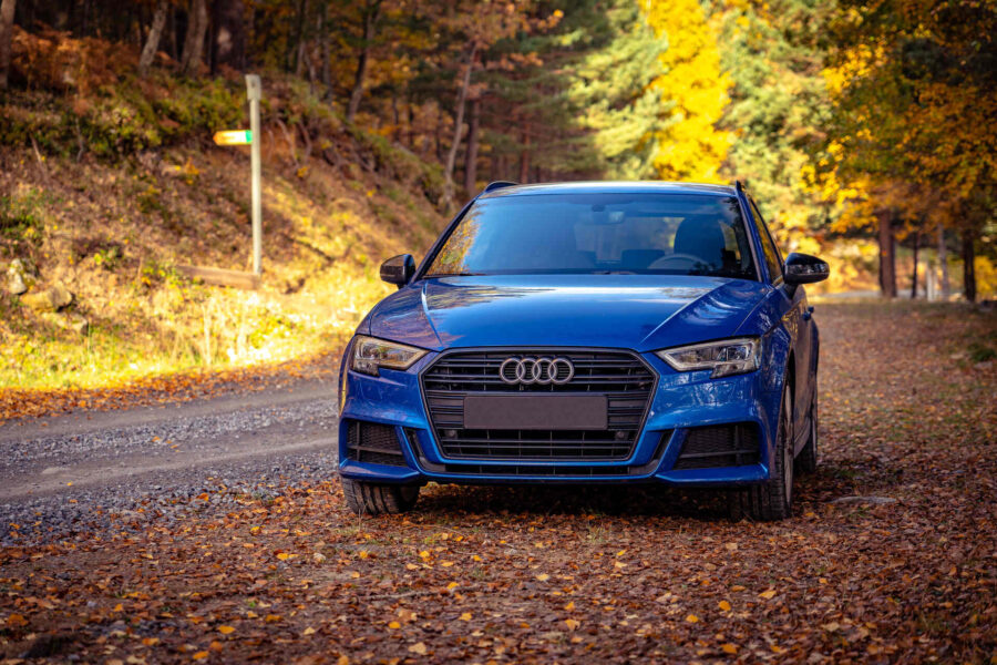 Blue Audi car on a forest road